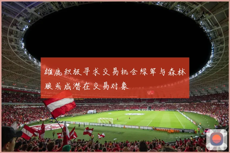 雄鹿积极寻求交易机会绿军与森林狼或成潜在交易对象