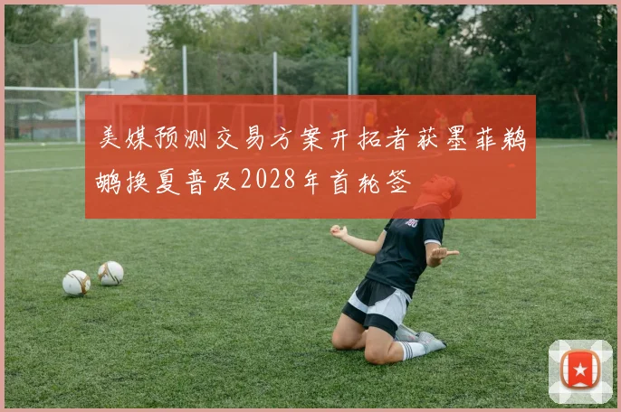 美媒预测交易方案开拓者获墨菲鹈鹕换夏普及2028年首轮签