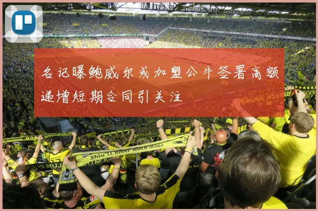 名记曝鲍威尔或加盟公牛签署高额递增短期合同引关注