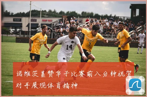 诺维茨基赞华子比赛前八分钟祝贺对手展现体育精神
